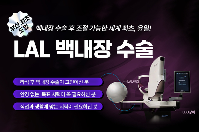 LAL백내장