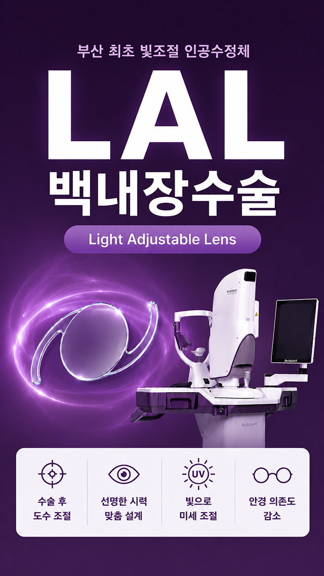 LAL백내장수술