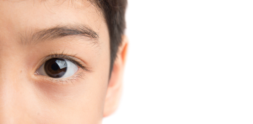 마이사이트 원데이 렌즈