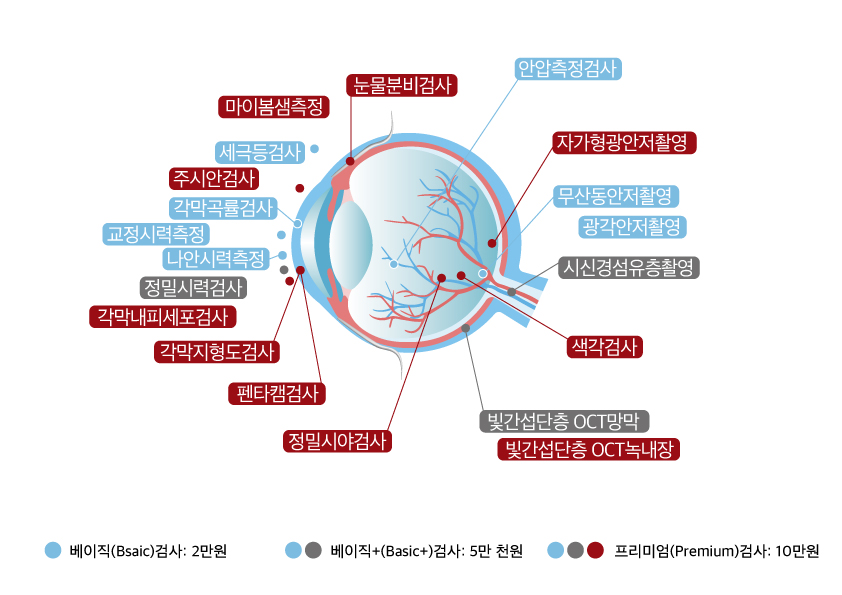 시력검사,녹내장,망막질환,백내장, 눈에 관한 모든 검사가 가능 - 눈종합검진-더참안과