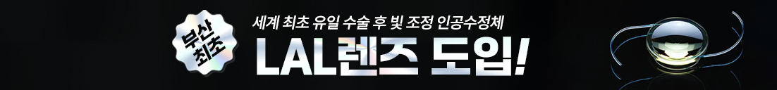 LAL백내장수술